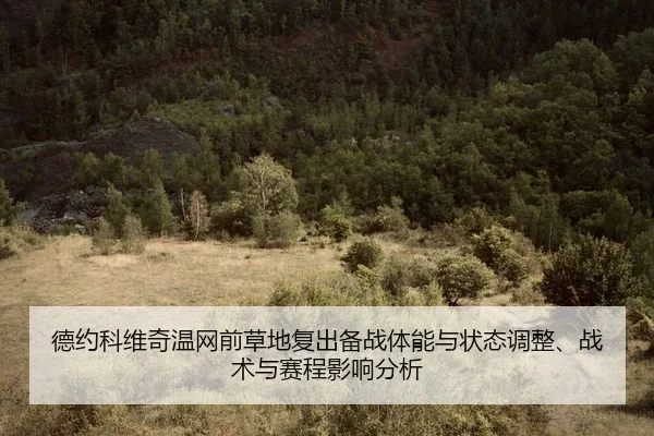 德约科维奇温网前草地复出备战体能与状态调整、战术与赛程影响分析