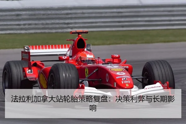 fa-la-li-jia-na-da-zhan-lun-tai-ce-lve-fu-pan-jue-ce-li-bi-yu-chang-qi-ying-xiang-2-864.jpg